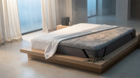 Climatix Dual Zone Thermal Mattress — Lifestyle